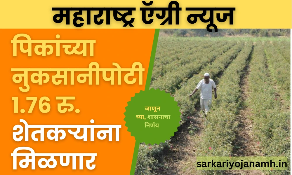 Maharashtra Agri News