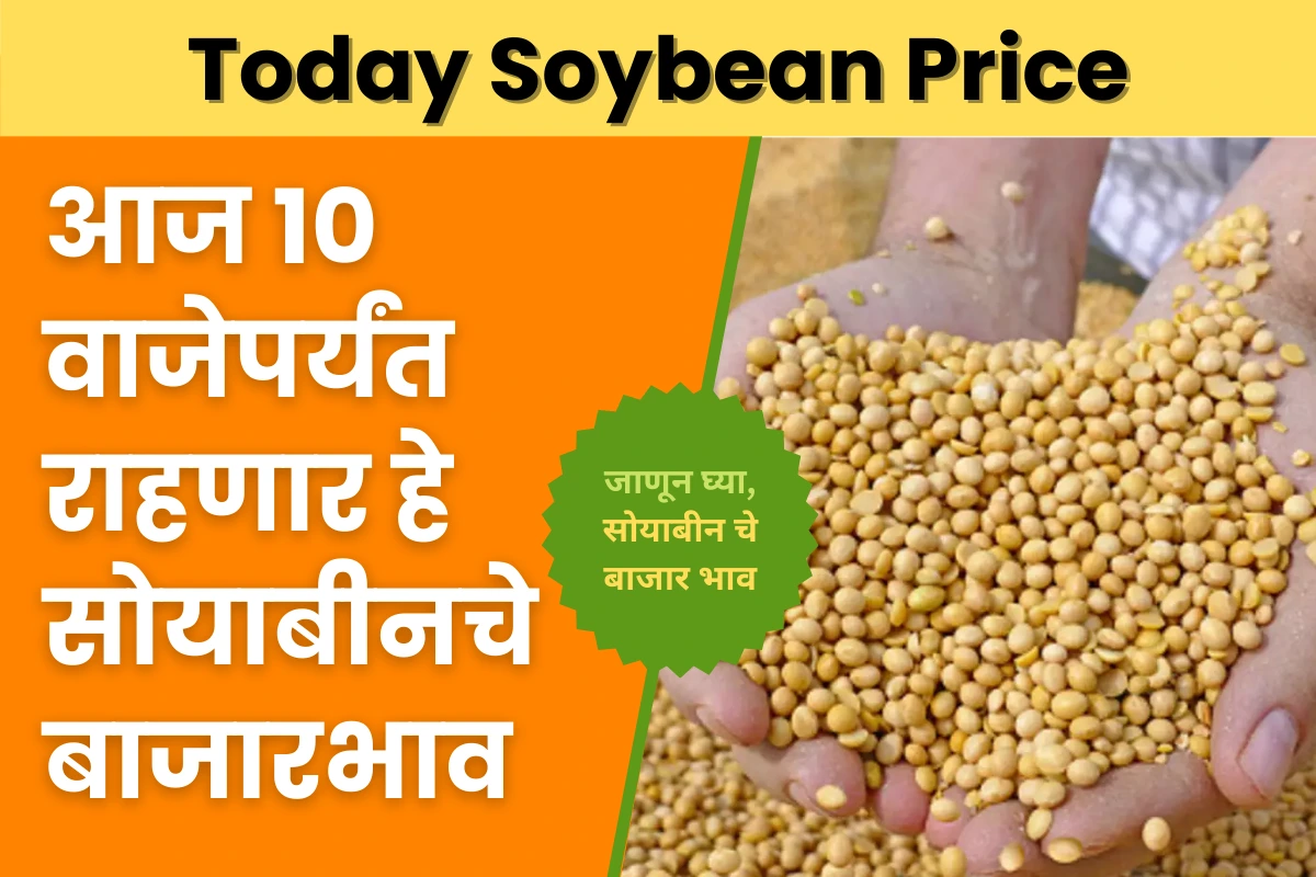 Today Soybean Price