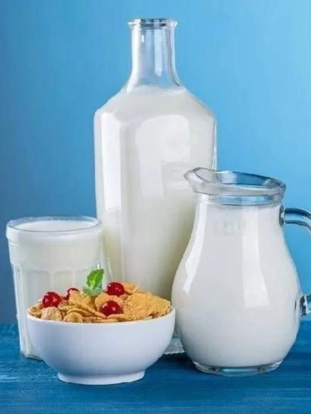 Top 7 Milk-Producing Countries